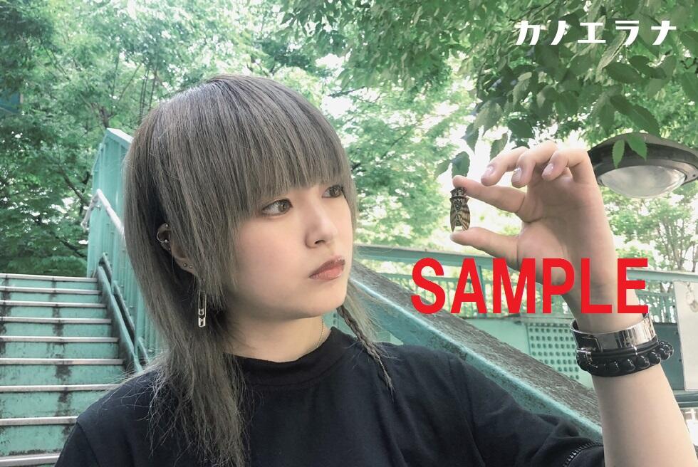 特典ｽﾃｯｶｰ(応援店)SAMPLE入り.jpg