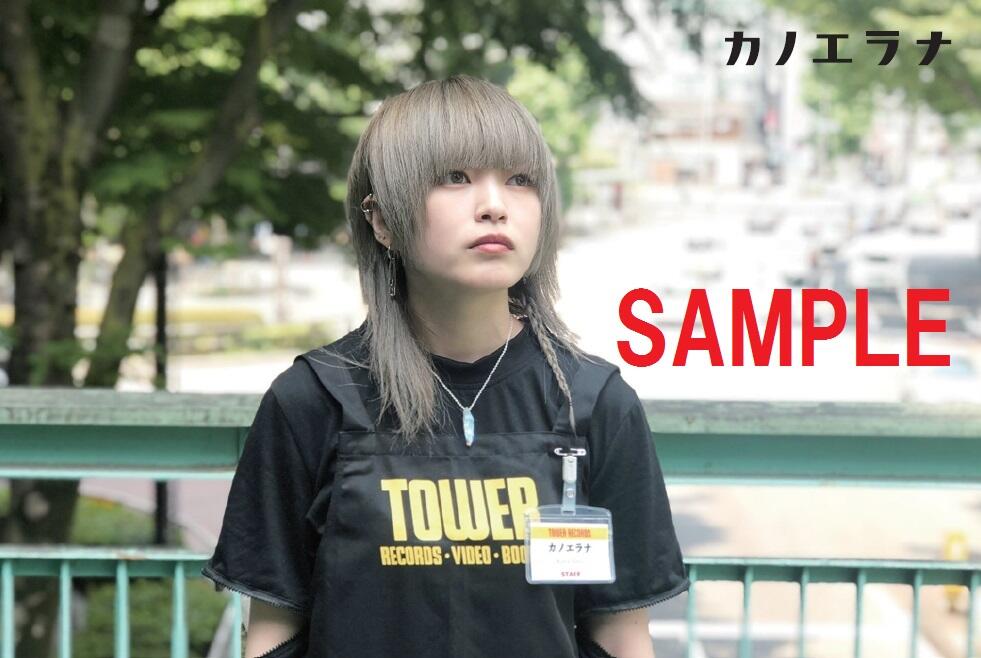 特典ｽﾃｯｶｰ(TOWER)SAMPLE入り.jpg